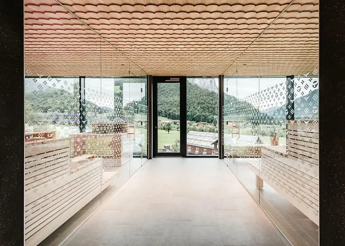 阿德勒酒店 4* Au (Bregenz)